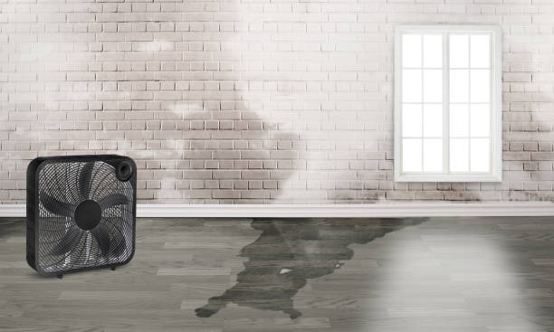 Carpet water damage restoration in AZ