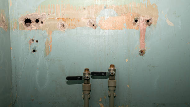 Best Sewage cleanup and water damage restoration  in Doney Park, AZ