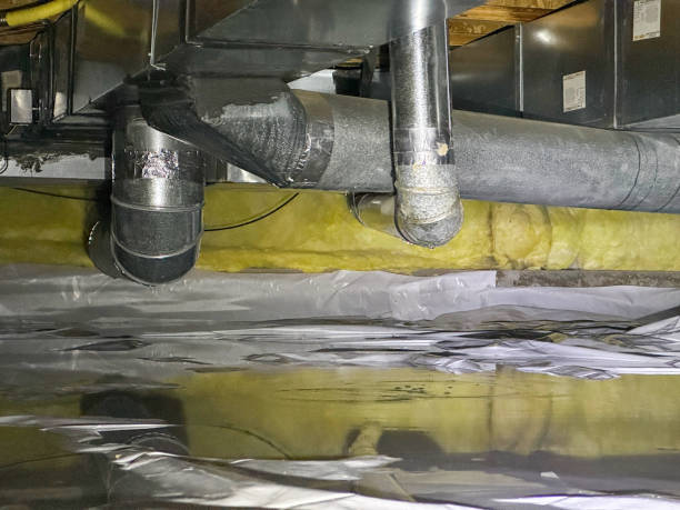 Best Fire Damage Restoration  in Doney Park, AZ