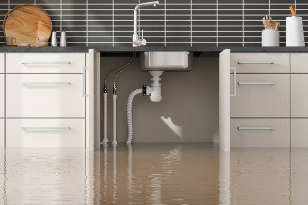 Best Ceiling water damage repair  in Doney Park, AZ