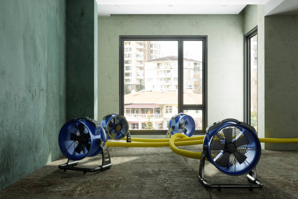 Best Carpet water damage restoration  in Doney Park, AZ
